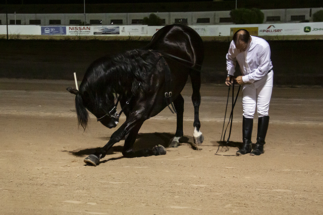 Carreras nocturnas-2019