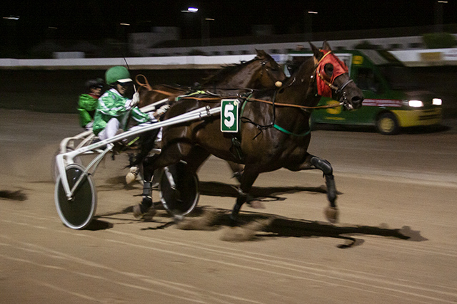 Carreras nocturnas-2019