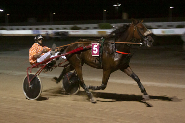 Carreras nocturnas-2019