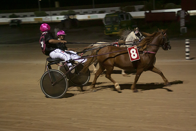 Carreras nocturnas-2019