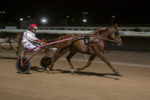 Carreras nocturnas-2019
