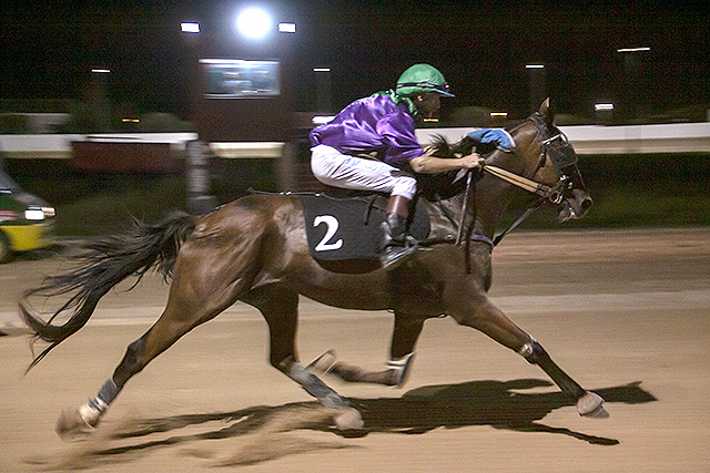 Carreras nocturnas-2019