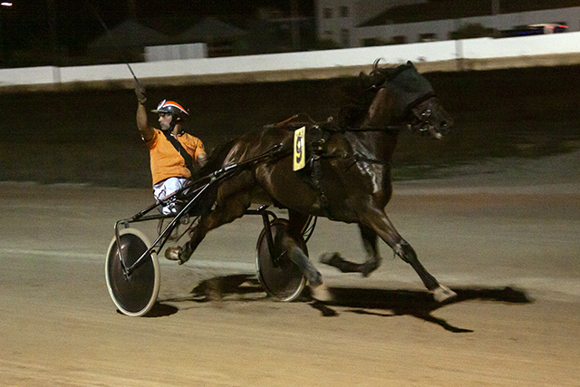 Carreras nocturnas-2019