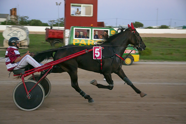 Carreras Trot Maó