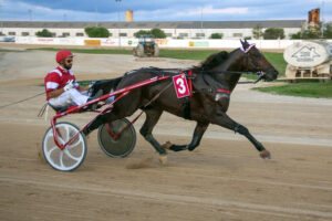 Carreras Trot_IMG_1653