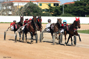Carreras Trot_IMG_8181