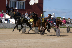 Carreras Trot mao 24-11-19-3