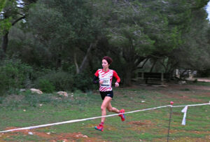 maria pallicer-Cross Es Pinaret