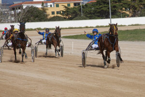 Carreras Cavalls mao 12-1-20