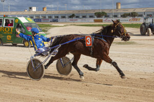 Carreras Cavalls mao 12-1-20