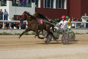 Carreras Trot Maó