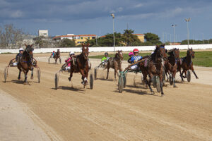 Carreras Trot_mao 9-2-20
