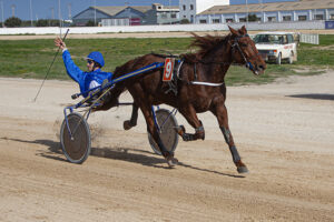 Carreras Trot_mao 9-2-20