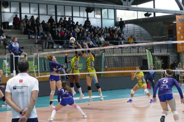 Copa de La Reina de volei