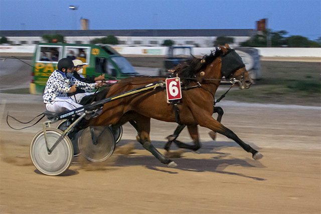 Carreras Trot Mao 10-7-20