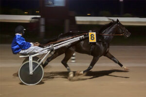 Carreras Trot Mao 10-7-20