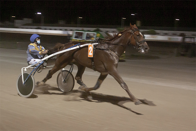 Carreras Trot Mao 10-7-20