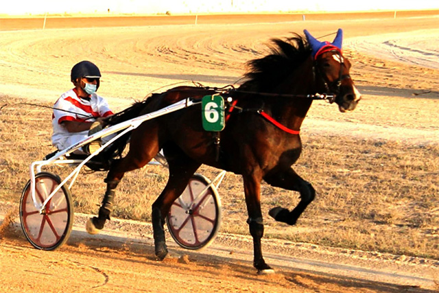 Carreras Trot Ciuta 16-8-20