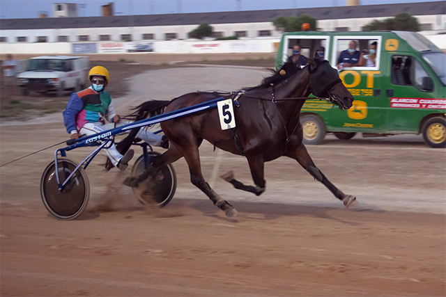 Carreras Trot Mao 31-7-20