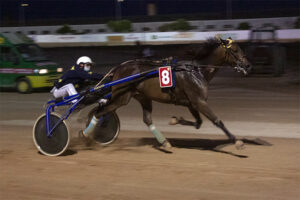 Carreras Trot Mao 31-7-20