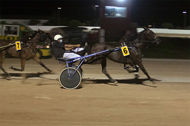 Carreras Trot Mao 31-7-20