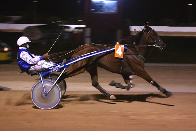 Carreras Trot Mao 31-7-20