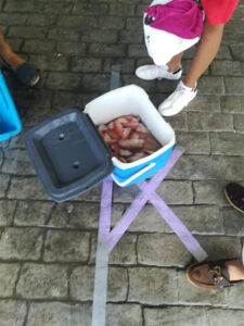 Campionat Social de Raors 2020