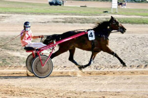 Carreras Trot Ciuta 13-9-20