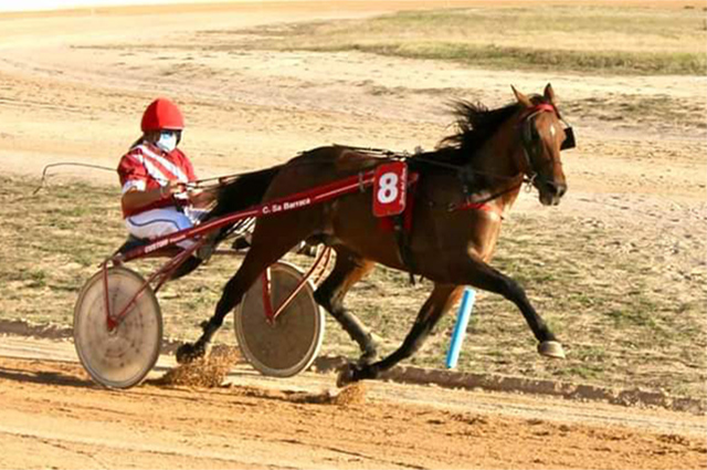 Carreras Trot Ciuta 13-9-20
