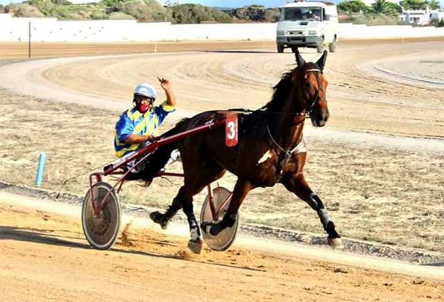 Carreras Trot Ciuta 5-9-20
