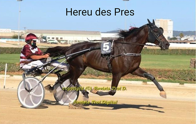 Hereu des Pres-Gran Premi Nacional de Trot