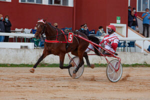 Carreras Trot Mô1-11-10-20