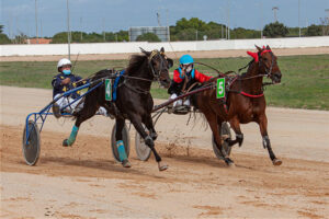 Carreras Trot Mô1-11-10-20