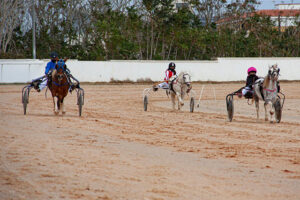 Carreras Trot Mô3-11-10-20