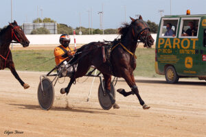 Carreras Trot Mô_Bolero de Daidou - JA Gardes 25.Oct.20
