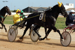 Carreras Trot Mô_Dior - A Roca 25.10.20