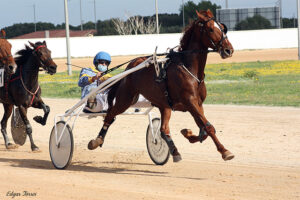 Athos du Roc- E. Mondejar B. 8-11-20
