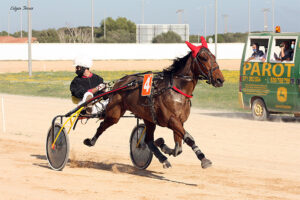 Bella des Moyeux - A. Gomez F. 8-11-20