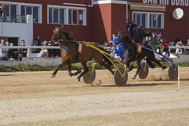 Carreras Trot Mô 22-11-20- United Kingdom y Cubic Go_CO
