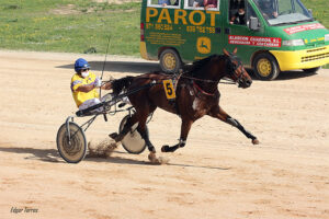 Carreras Trot Mô-Guille HM - M. Benejam 1-11-20
