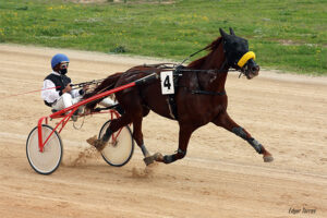 Carreras Trot Mô-Hereu de Crismi - M. Juan P 1-11-20