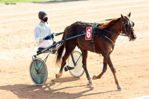 Carreras Trot Mô-Uchandon - JC. Mata 1-11-20