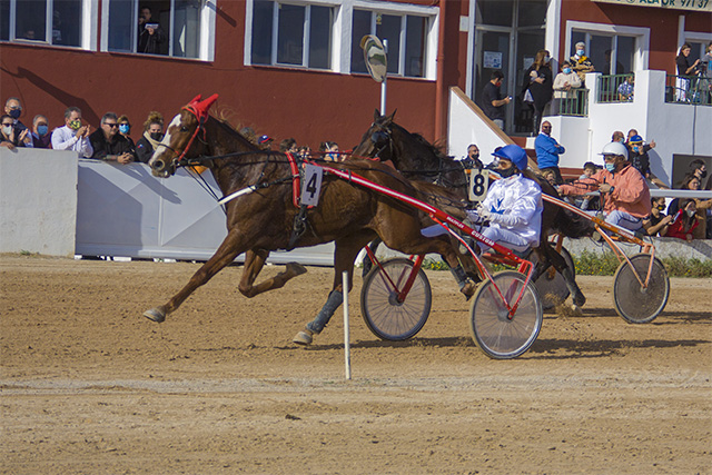 Carreras Trot mao 29-11-20