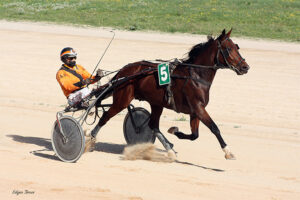 Ice Silver - JA. Gardes 8-11-20