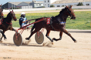 Untouchable Amour - P. Muñoz 8-11-20