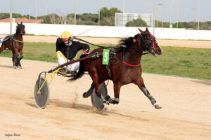 Alba de Flo - A. Gomez F. 20.12.20