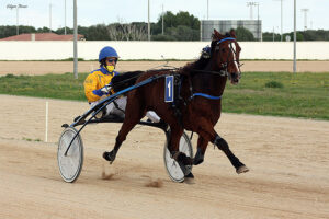 Boylotin - MA. Huguet 20.12.20