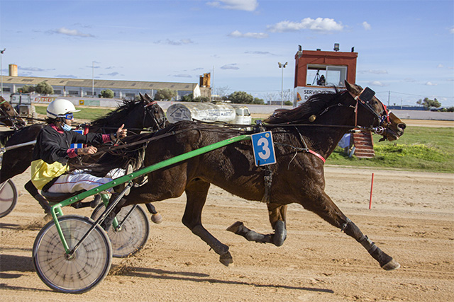 Carreras Trot Mô 27-12-20 aficionats