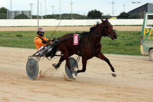 Ice Silver - JA. Gardes 20.12.20