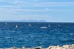 flota Làser d'Es Nàutic